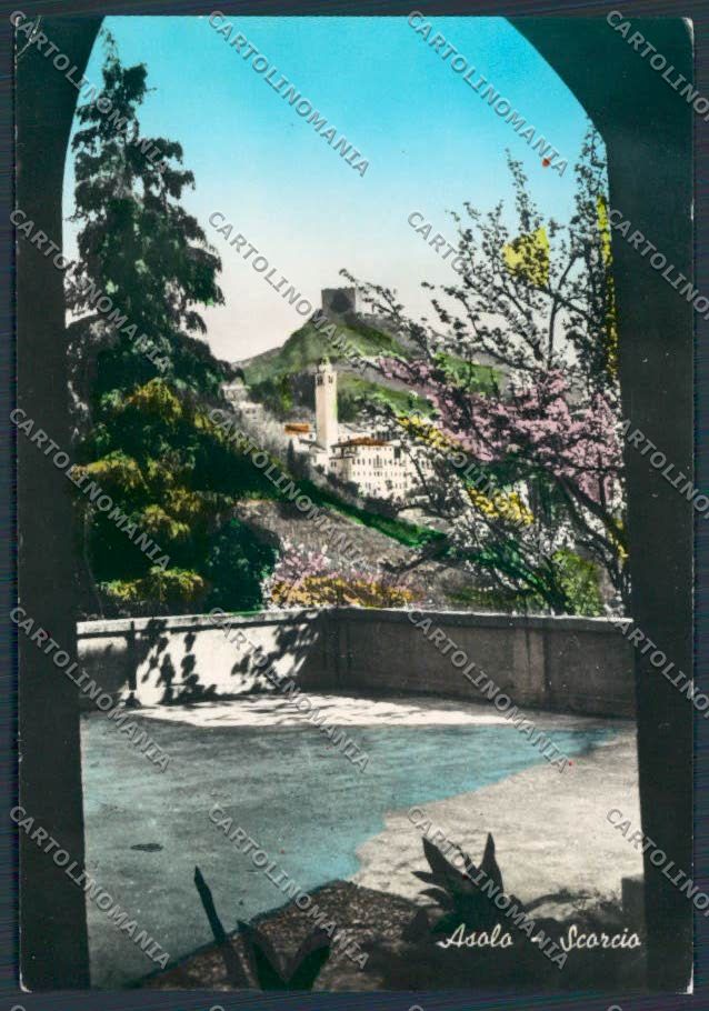 Treviso Asolo PIEGHINA foto FG cartolina BB9625 – fronte