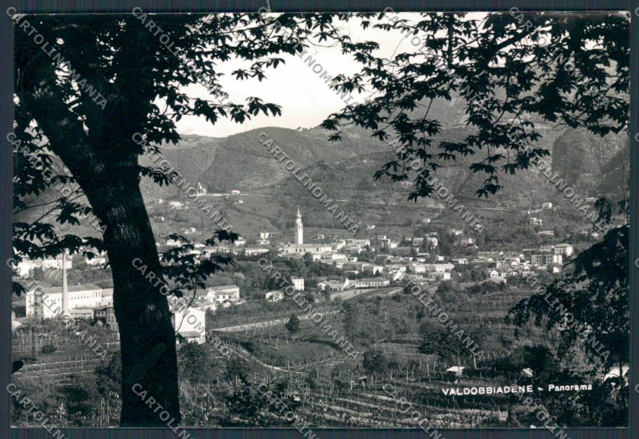 Treviso Valdobbiadene Panorama foto FG cartolina BB9636 – fronte