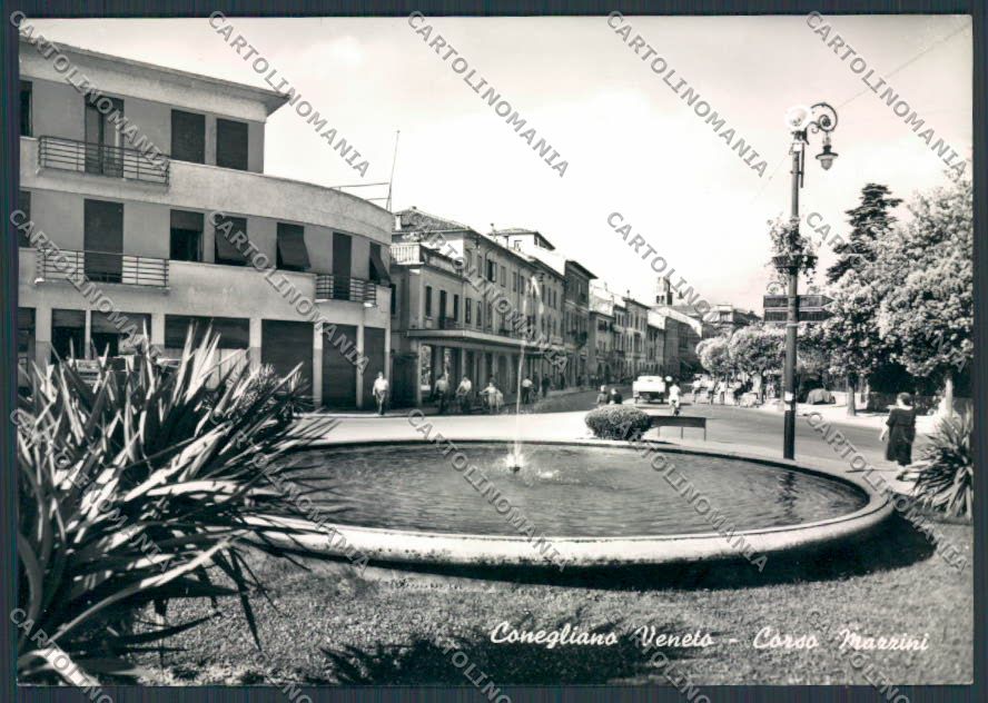Treviso Conegliano Corso Mazzini foto FG cartolina BB9657 – fronte