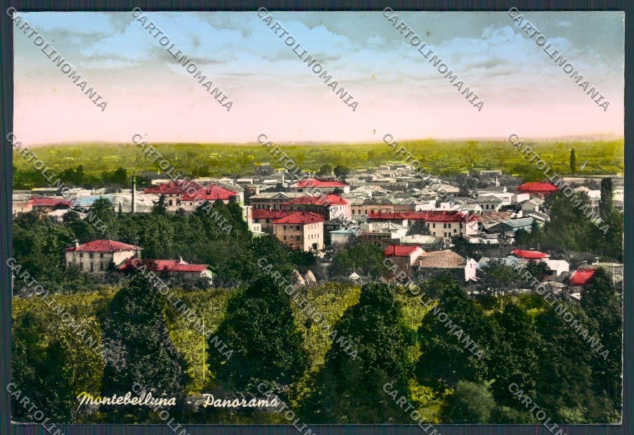 Treviso Montebelluna Panorama foto FG cartolina BB9659 – fronte