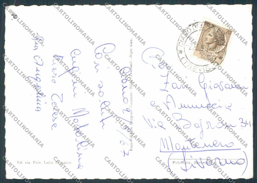 Treviso Ciano del Montello foto FG cartolina BB9763 – retro