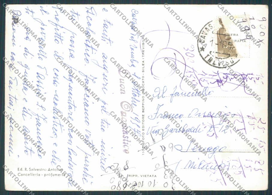 Treviso Cavaso Saluti da Vedutine foto FG cartolina BB9768 – retro