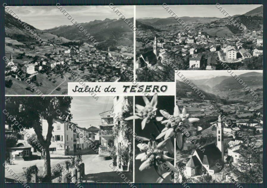 Trento Tesero Saluti da foto FG cartolina BB9822 – fronte