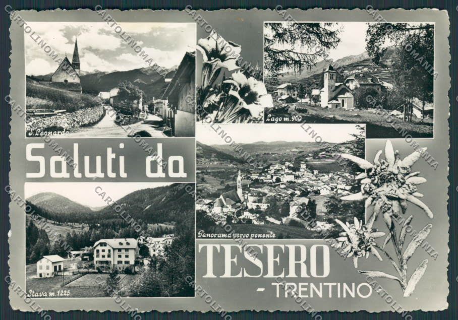 Trento Tesero Saluti da foto FG cartolina BB9823 – fronte
