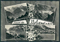 Trento Molveno Saluti da foto FG cartolina BB9854 – fronte