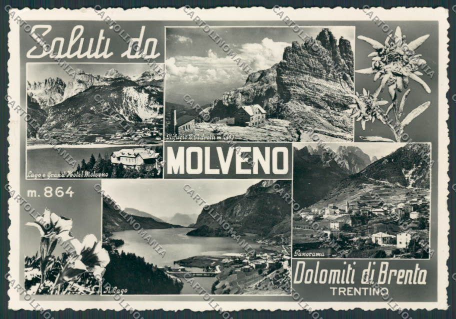 Trento Molveno Saluti da foto FG cartolina BB9855 – fronte