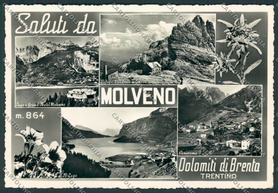 Trento Molveno Saluti da foto FG cartolina BB9856 – fronte