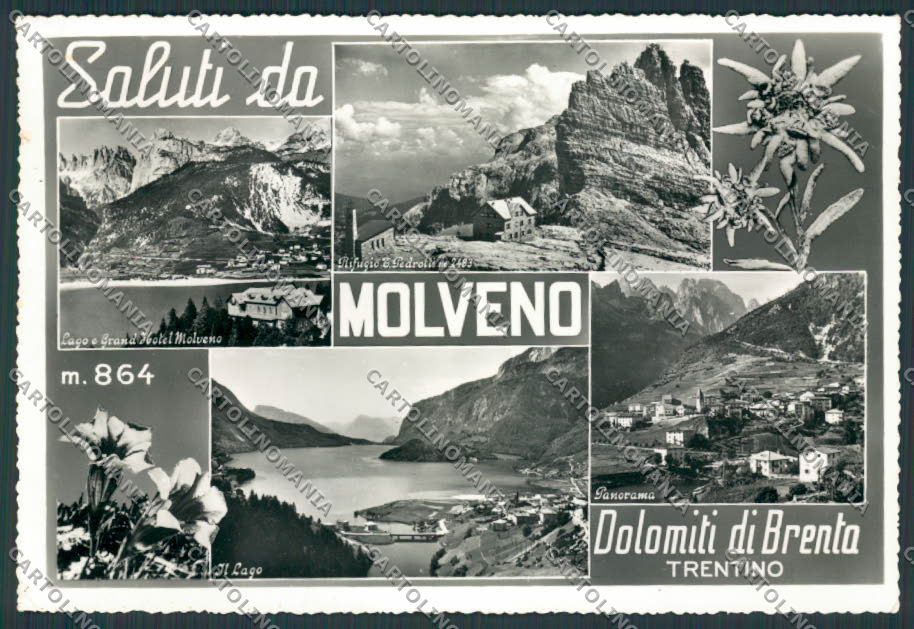 Trento Molveno Saluti da foto FG cartolina BB9857 – fronte