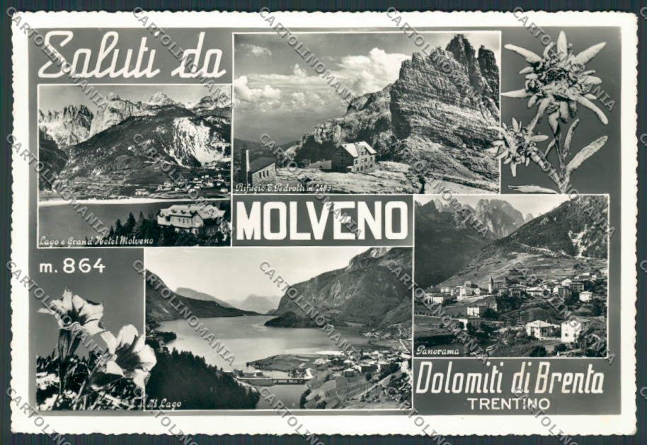 Trento Molveno Saluti da foto FG cartolina BB9858 – fronte