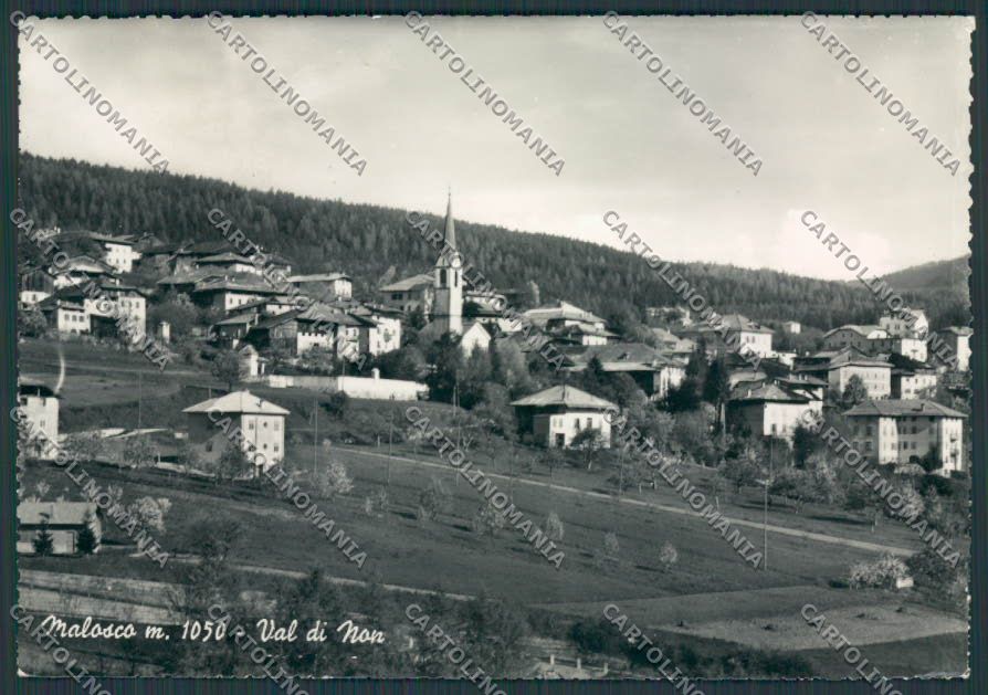 Trento Malosco Val di Non foto FG cartolina BB9890 – fronte