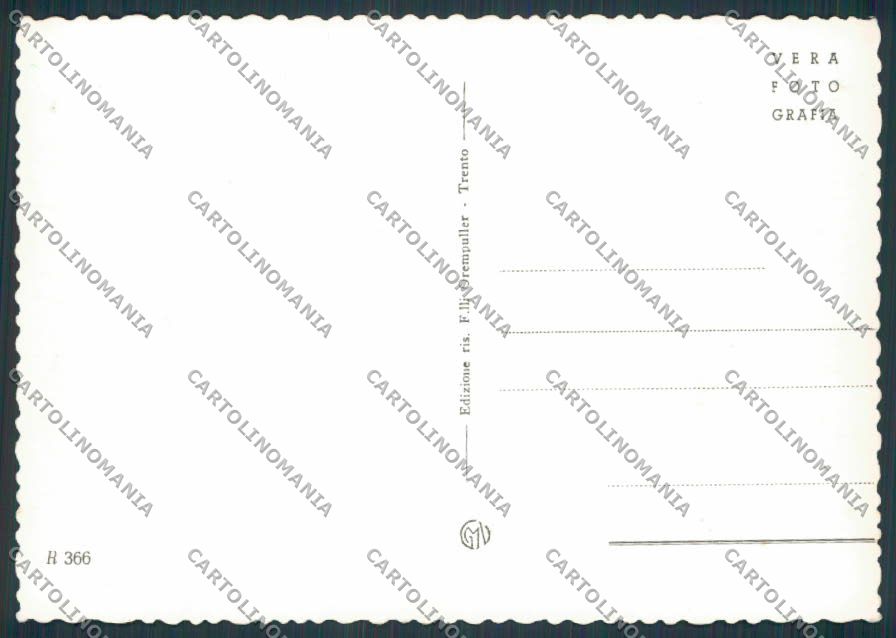 Trento Rovereto Madonna del Monte foto FG cartolina BB9898 – retro