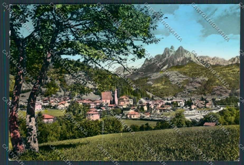 Trento Fiera di Primiero foto FG cartolina BB9909 – fronte