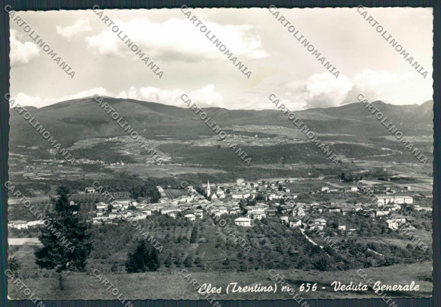Trento Cles Panorama foto FG cartolina BB9911 – fronte