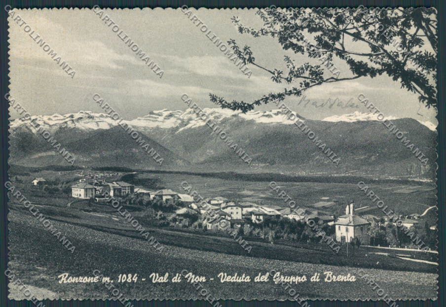 Trento Ronzone Panorama FG cartolina BB9914 – fronte