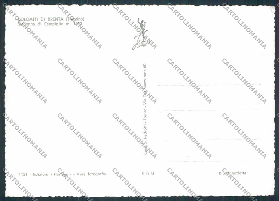 Trento Madonna di Campiglio Saluti da Lago Nambino foto FG cartolina BB9923 – retro