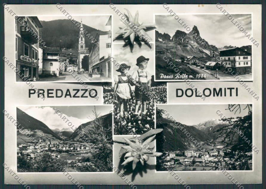 Trento Predazzo Vedutine foto FG cartolina BB9933 – fronte