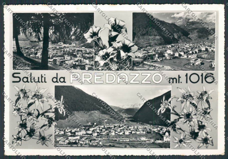Trento Predazzo foto FG cartolina BB9936 – fronte