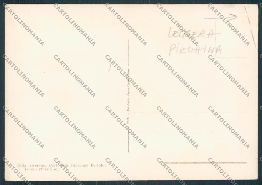Trento Fondo Val di Non FG cartolina BB9940 – retro