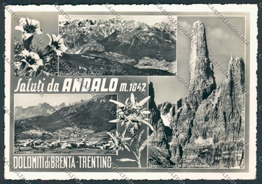 Trento Andalo Vedutine PIEGHINA foto FG cartolina BB9944 – fronte