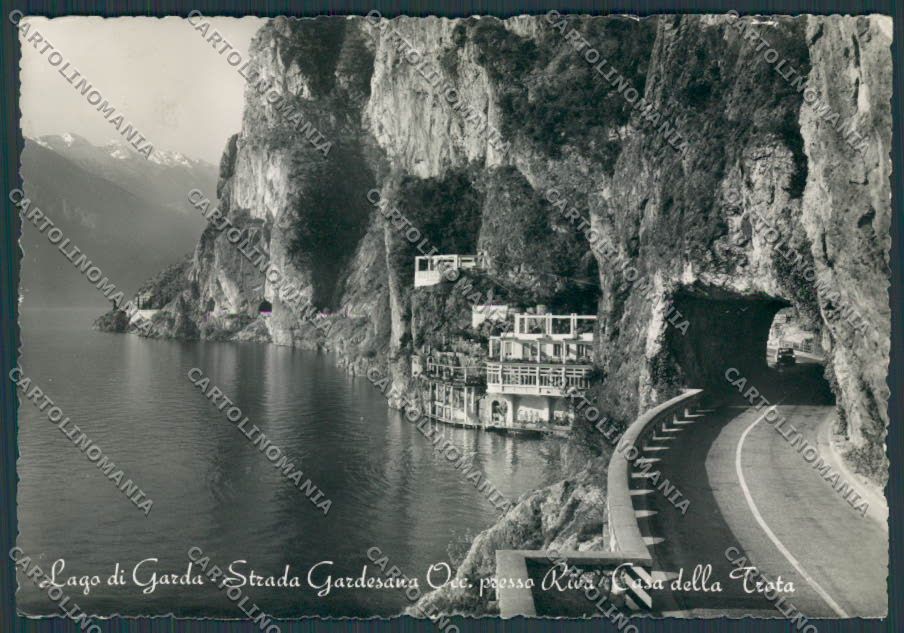 Trento Riva del Garda Casa della Trota foto FG cartolina BB9968 – fronte