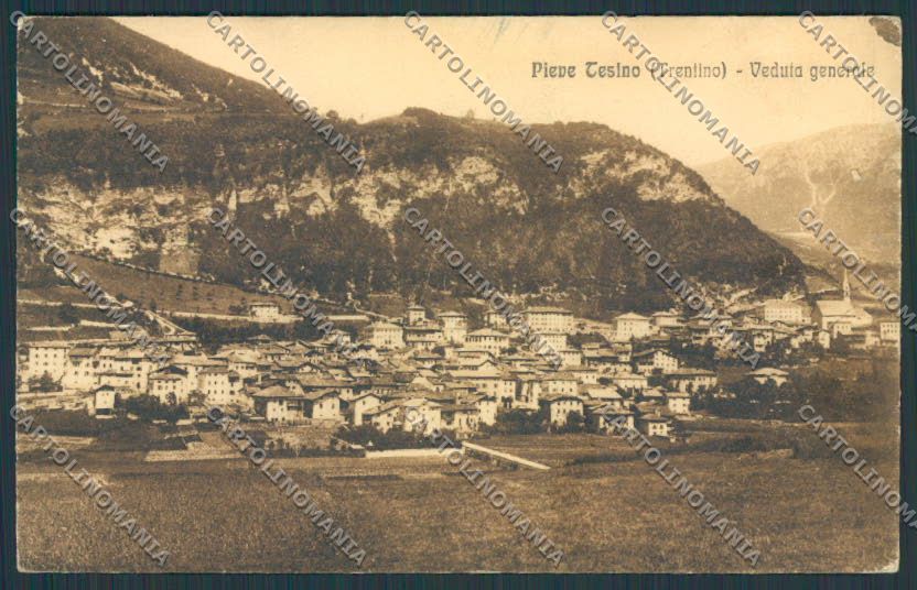 Trento Pieve Tesino cartolina BB9985 – fronte