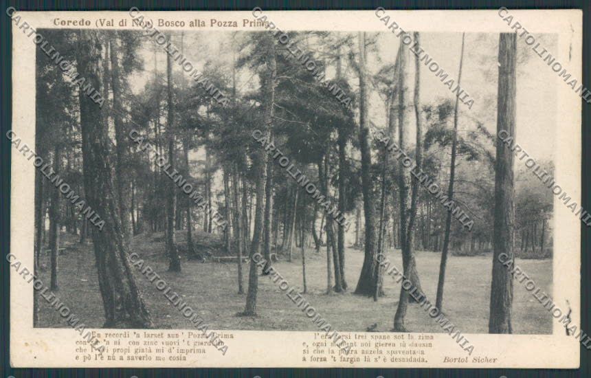 Trento Coredo Val di Non Bosco Pozza Prima cartolina BB9994 – fronte