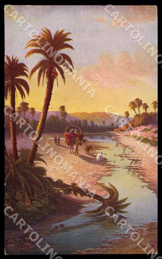 Artist Sager X. Landscape Camel Noyer 347 postcard CT0479 – fronte