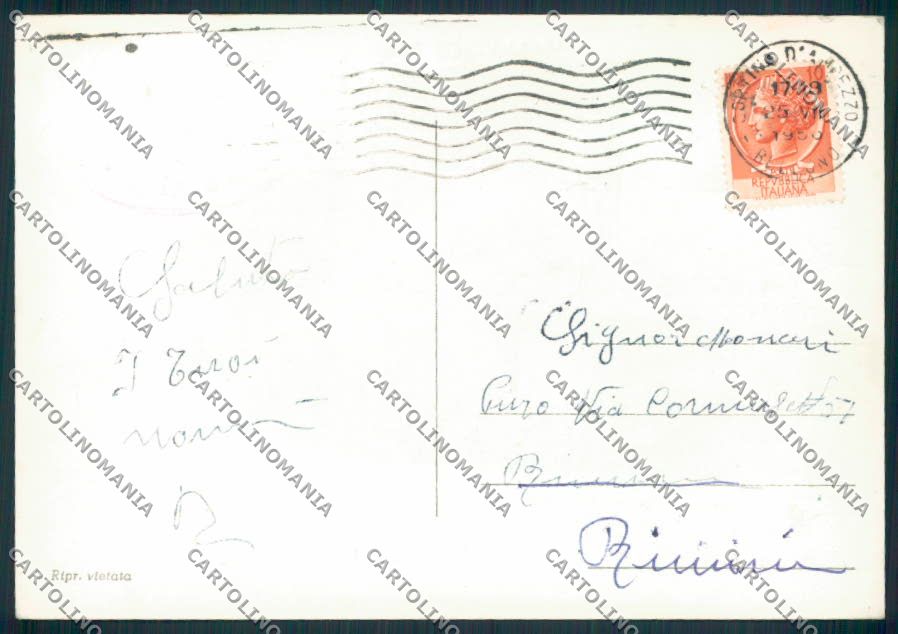 Belluno Passo Rolle Foto FG cartolina EE0939 – retro