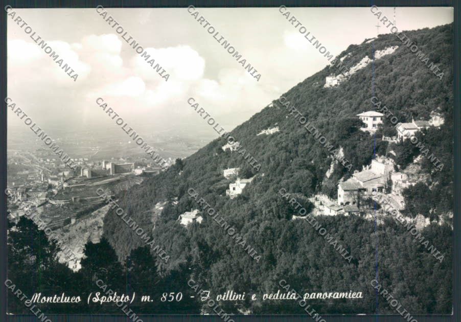 Perugia Monteluco Foto FG cartolina EE3815 – fronte