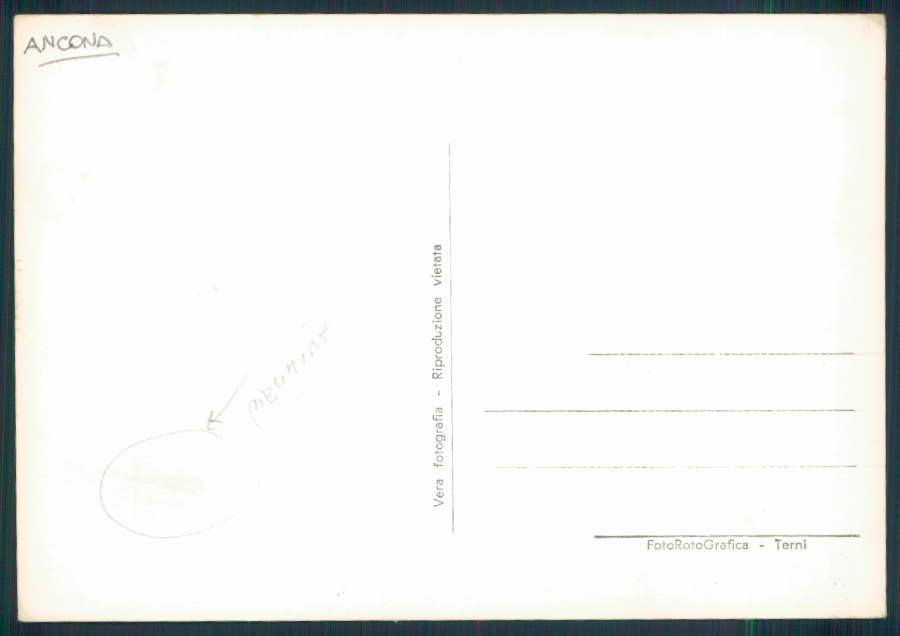 Ancona Fabriano PIEGHINA Foto FG cartolina EE3889 – retro