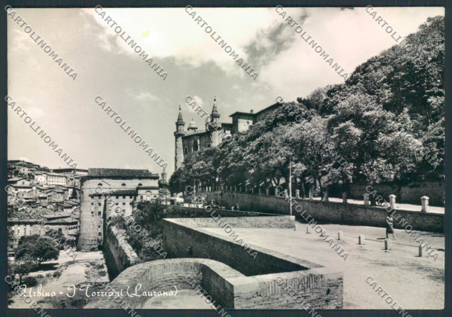 Pesaro Urbino Foto FG cartolina EE3890 – fronte