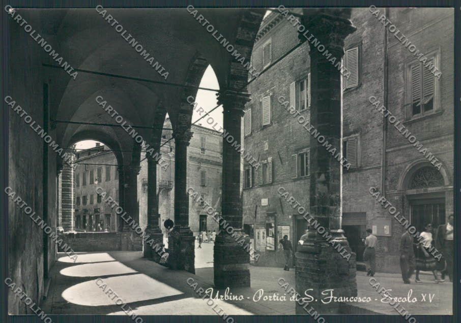 Pesaro Urbino Foto FG cartolina EE3900 – fronte