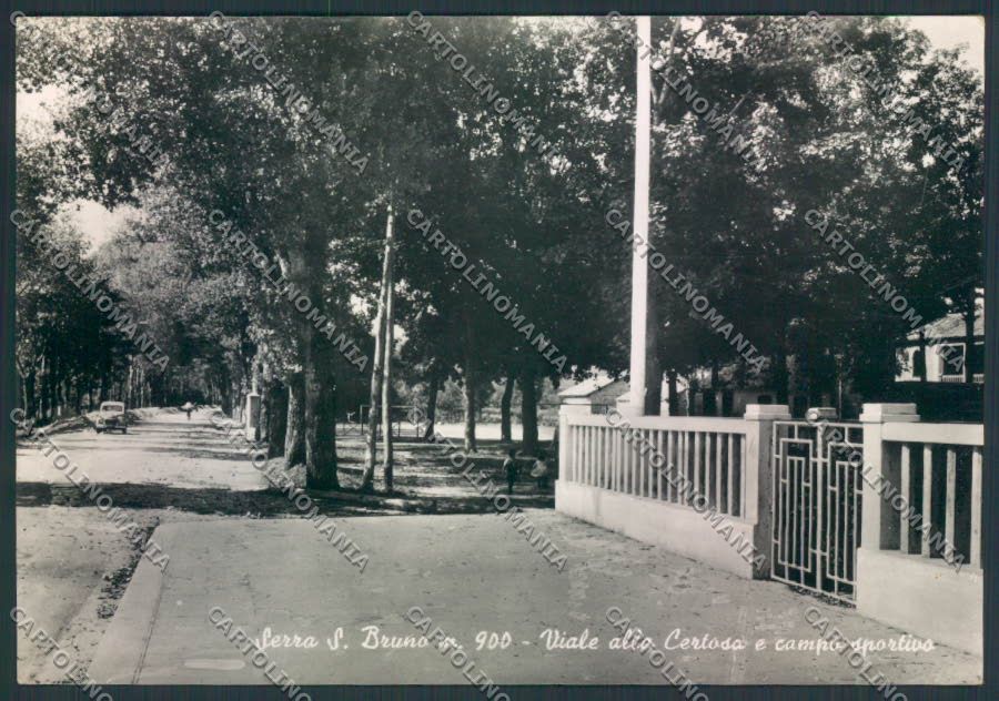Vibo Valentia Serra San Bruno Foto FG cartolina EE3902 – fronte