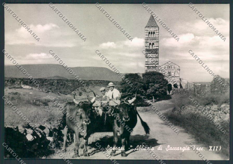 Sassari Abbazia Saccargia Foto FG cartolina EE3932 – fronte