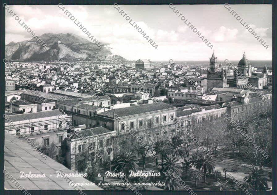 Palermo città Foto FG cartolina EE3955 – fronte