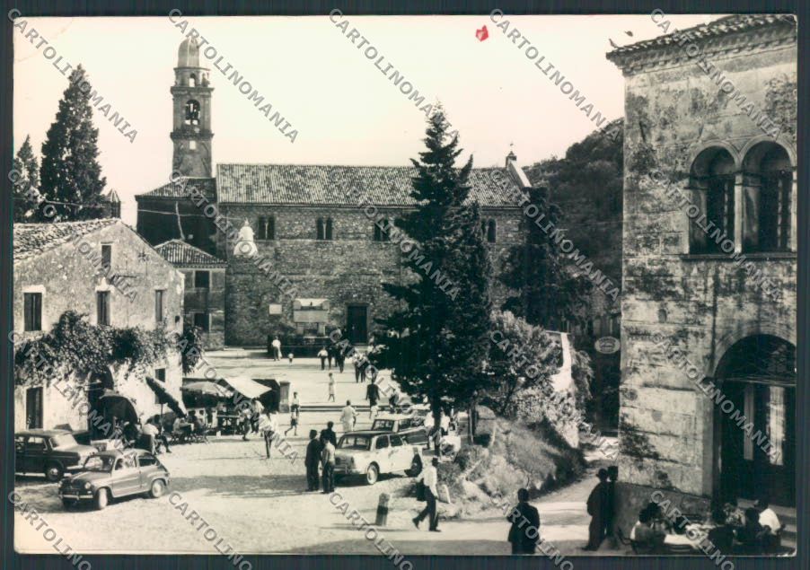 Padova Arquà Petrarca PIEGHINA Foto FG cartolina EE4024 – fronte