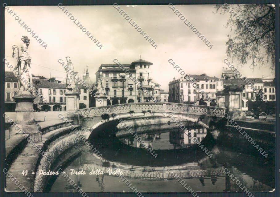 Padova città Foto FG cartolina EE4041 – fronte