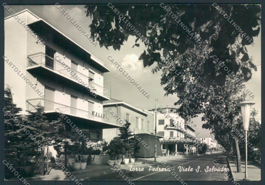 Rimini Torre Pedrera Foto FG cartolina EE4119 – fronte