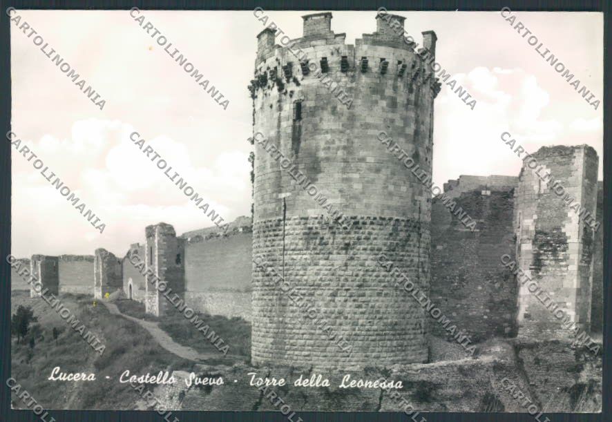 Foggia Lucera Foto FG cartolina EE4156 – fronte