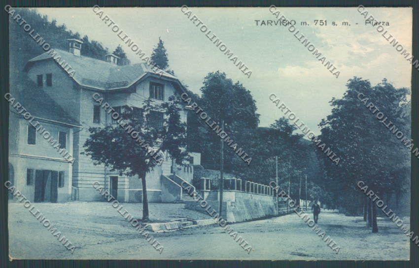 Udine Tarvisio cartolina EE4495 – fronte