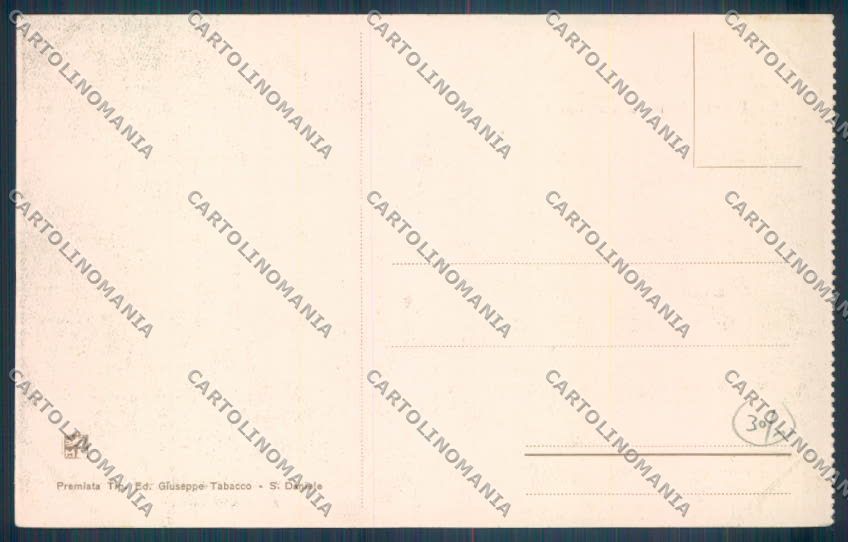 Udine San Daniele del Friuli cartolina EE4506 – retro