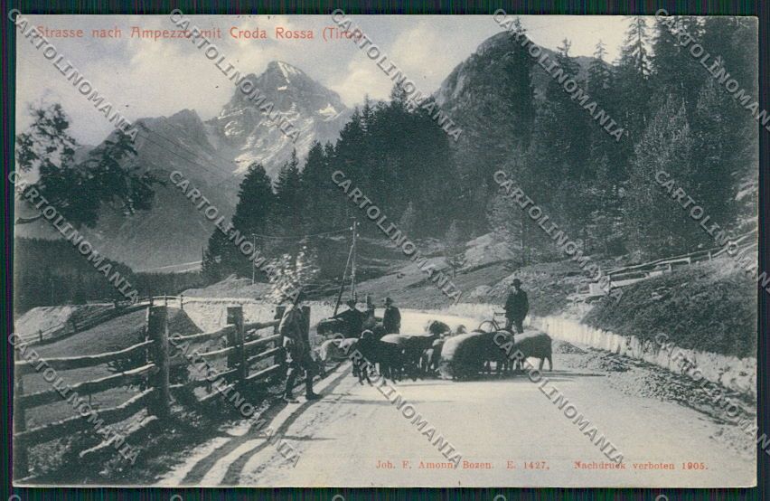 Belluno Cortina cartolina EE5045 – fronte