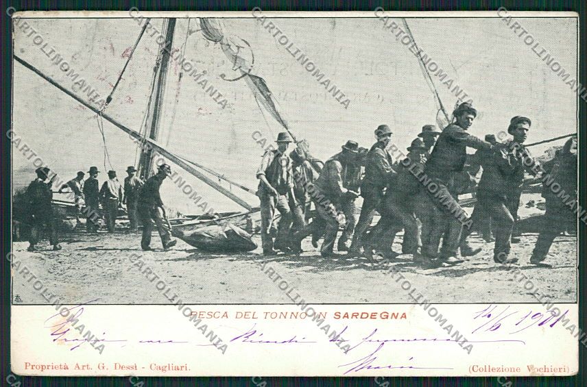 Cagliari Sardegna Pesca del Tonno cartolina EE5480 – fronte