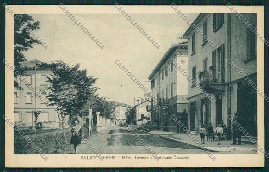 Pavia Salice cartolina EE5684 – fronte