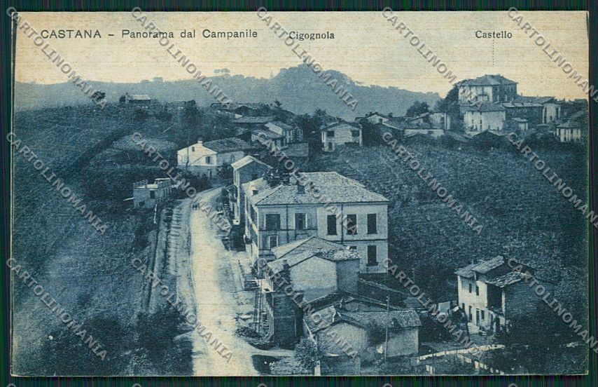 Pavia Castana cartolina EE5696 – fronte