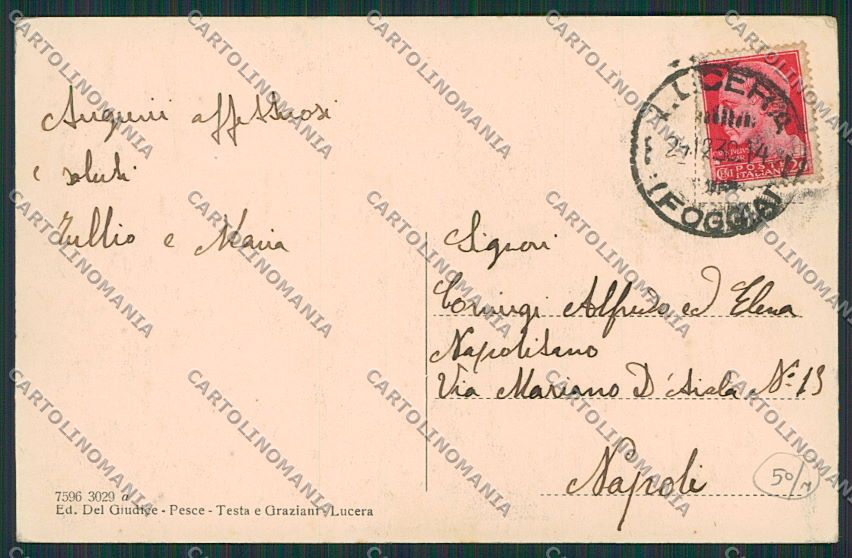 Foggia Lucera Farmacia cartolina EE5753 – retro