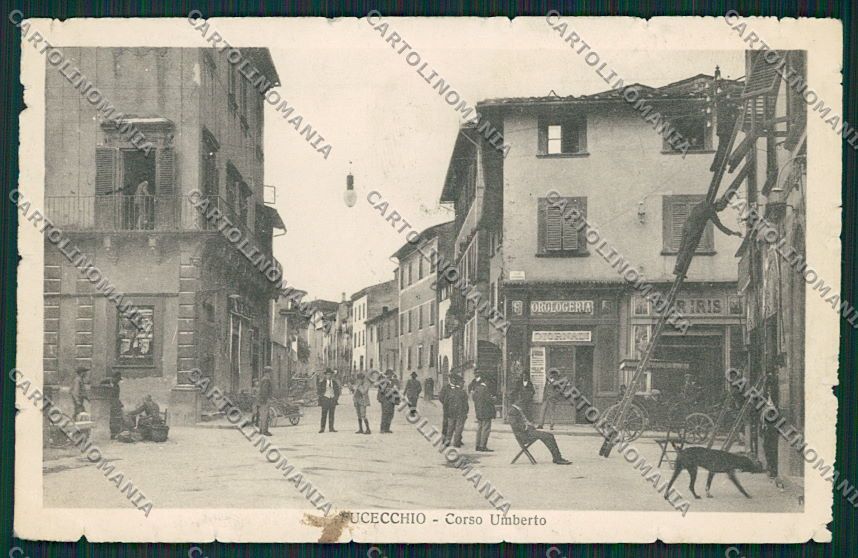 Firenze Fucecchio PIEGA cartolina EE5985 – fronte