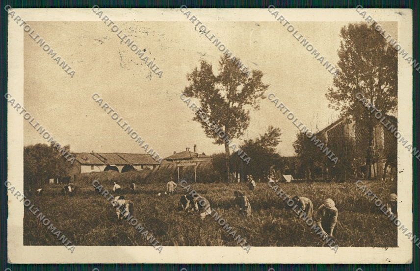Milano Gaggiano Cascina Camuzzone cartolina EE6102 – fronte