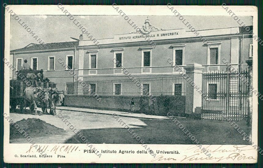 Pisa Città Carro Buoi Istituto Agrario cartolina EE6283 – fronte