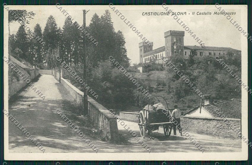 Varese Castiglione Olona cartolina EE6559 – fronte